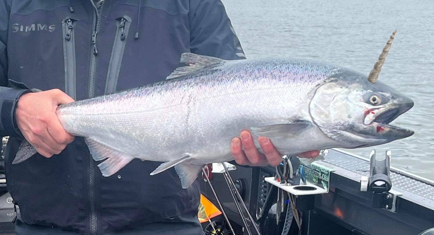 Now booking Columbia River spring Chinook trips