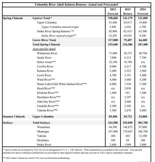 2024 Columbia spring Chinook forecast