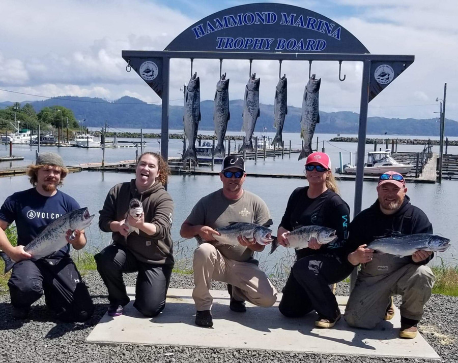 Ocean Coho/ Chinook