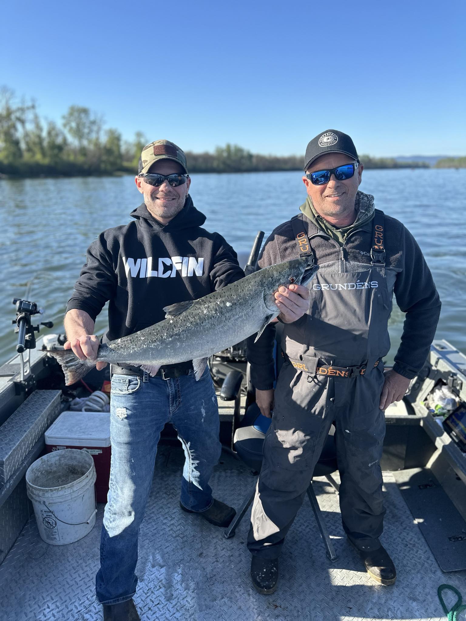 Spring Chinook taking off